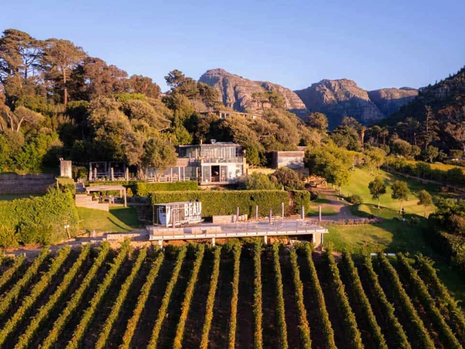 Constantia wine farms and vineyards