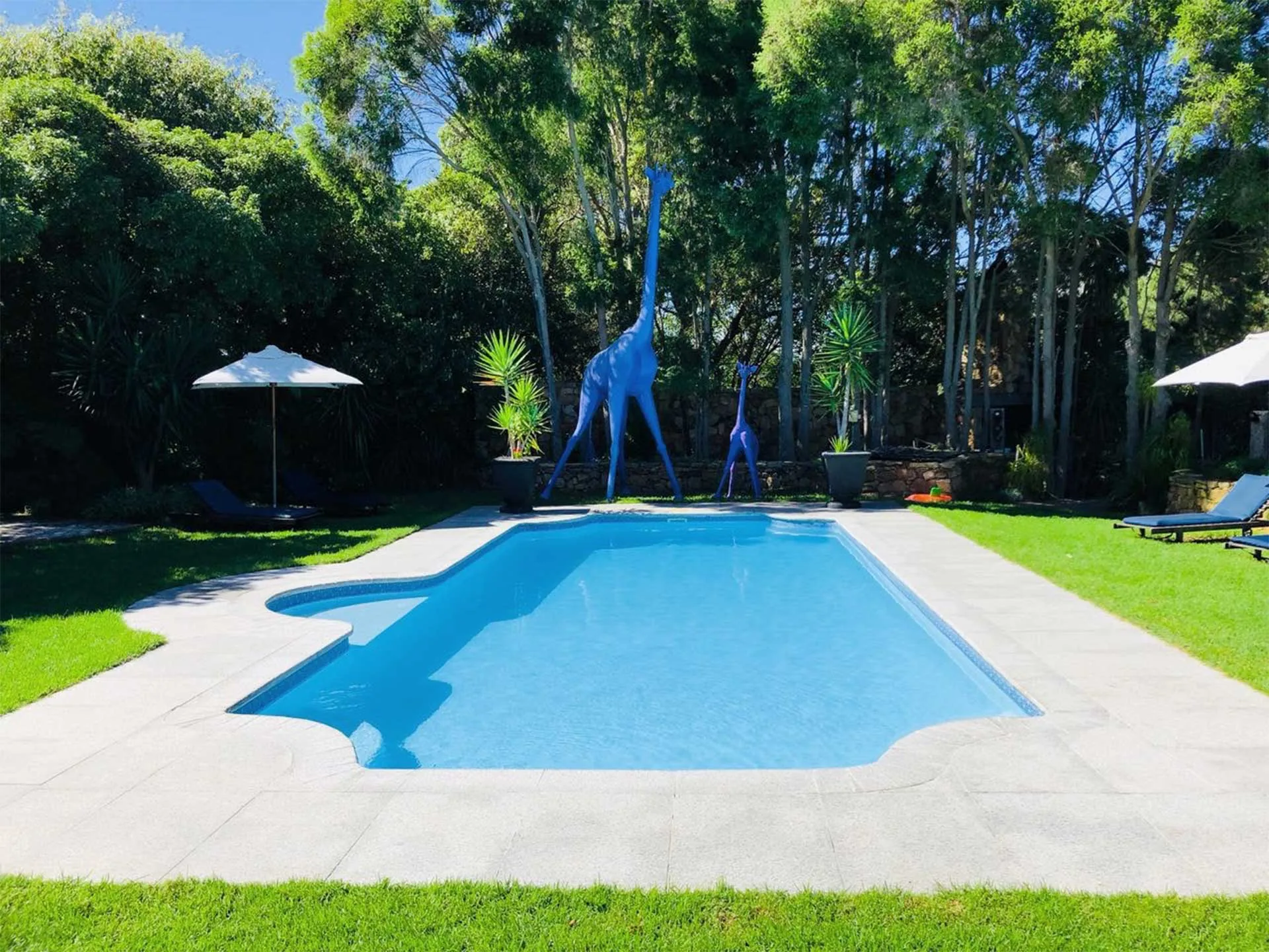 The Tarragon pool and landscaped garden beneath the Hout Bay mountains