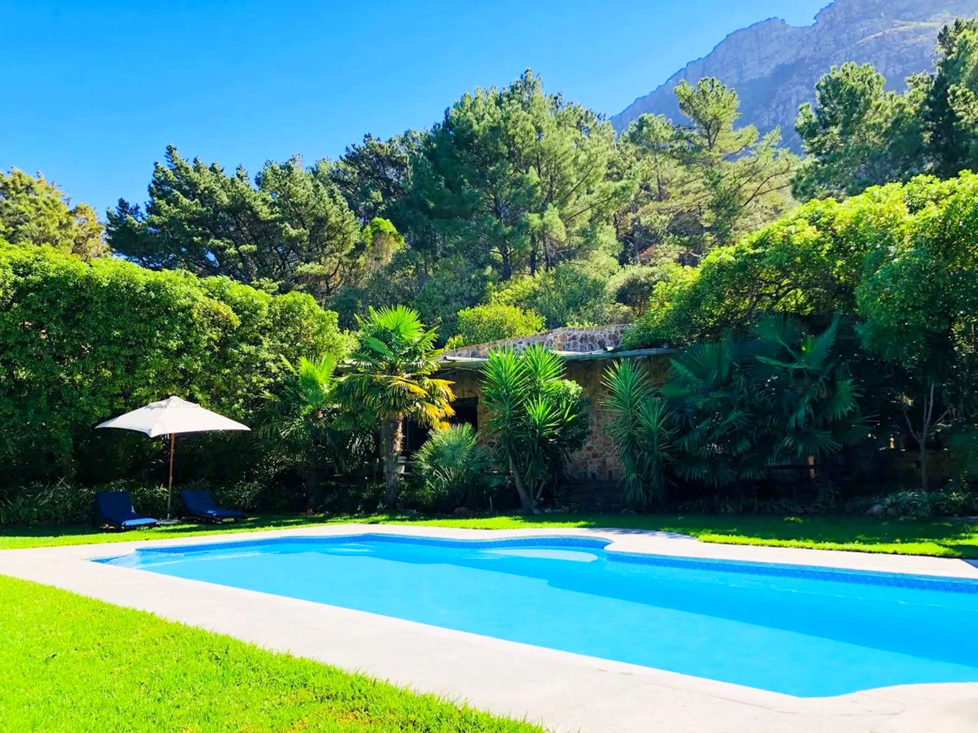 The Tarragon pool, gardens and Hout Bay mountain view in bright daylight