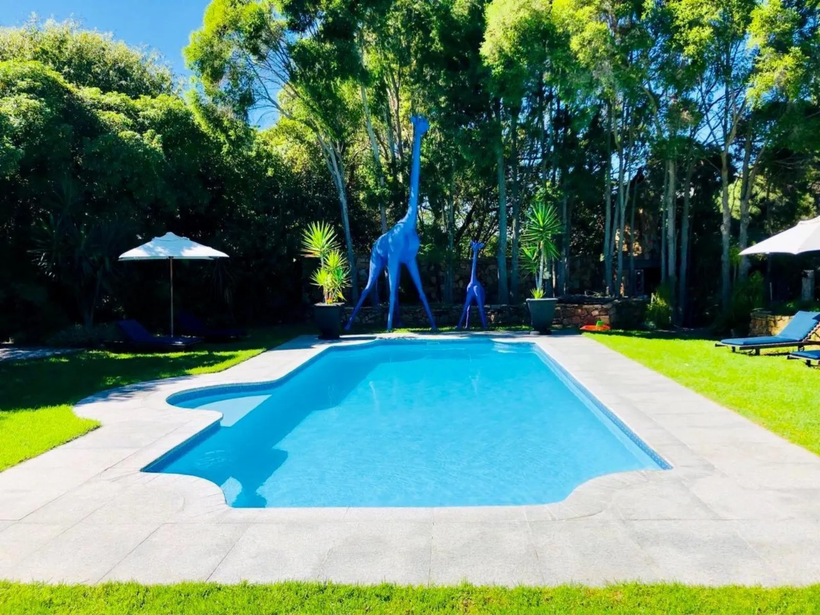 The Tarragon pool and gardens for a private celebration