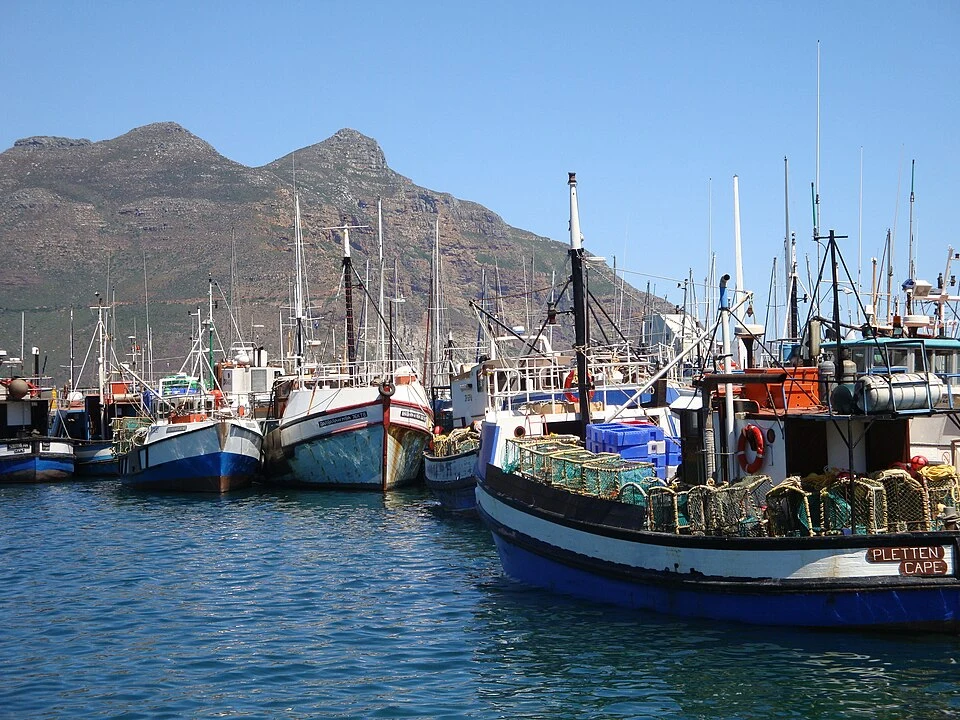 Fishing boats in Hout Bay harbour