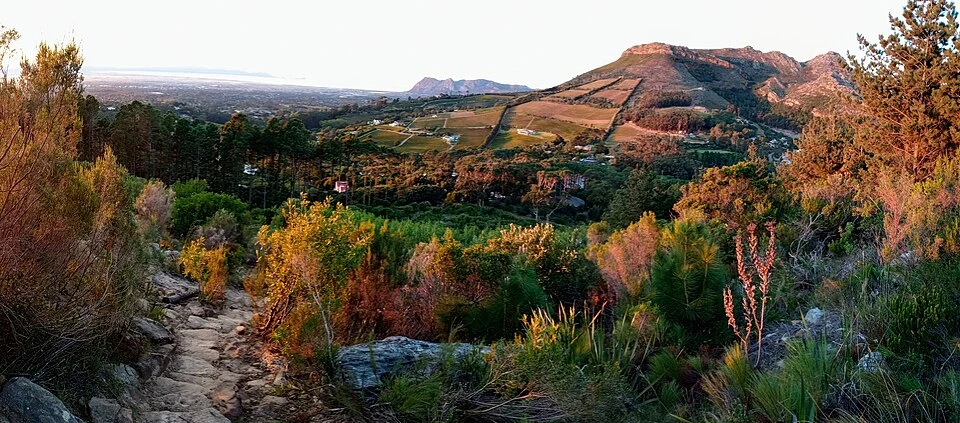 Trail and valley views from Constantia Nek